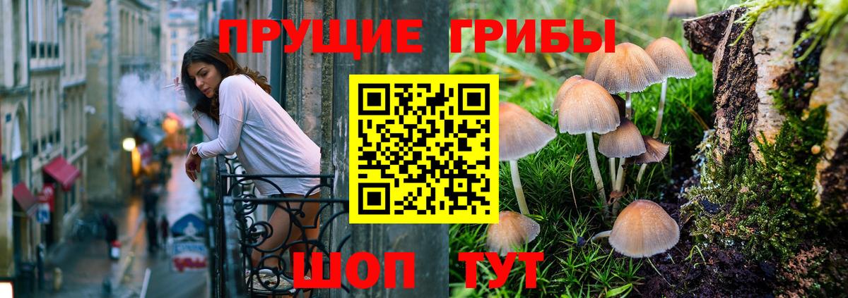Псилоцибиновые грибы GOLDEN TEACHER Учалы